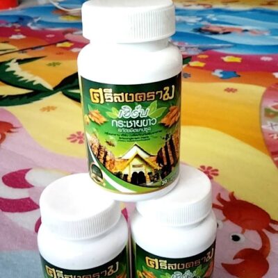 ศรีสงคราม เฮิร์บ กระชายขาว 1 กระปุก