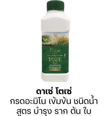 ดาเซ่ โตเซ่