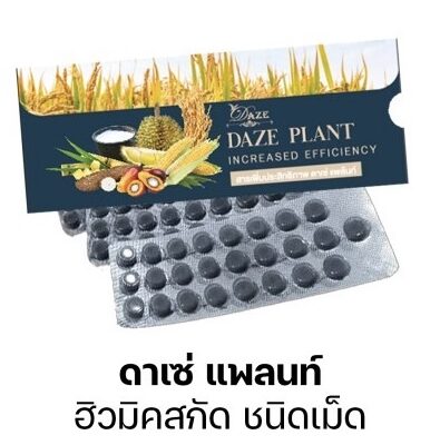 ดาเซ่ แพลนท์