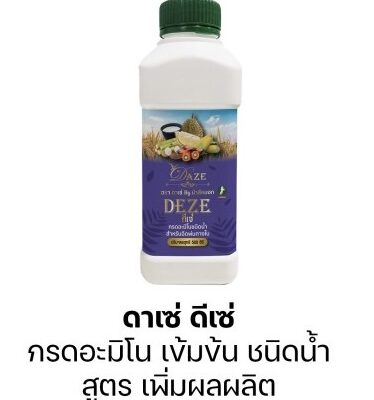 ดาเซ่ ดีเซ่