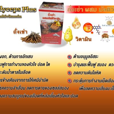 ถังเช่าผสมมัลติวิตามิน